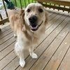wantuchmolly